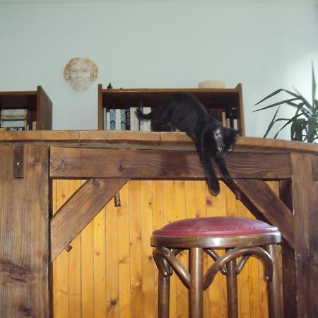 El Gato Negro Bed & Breakfast Montignac-Lascaux Luaran gambar